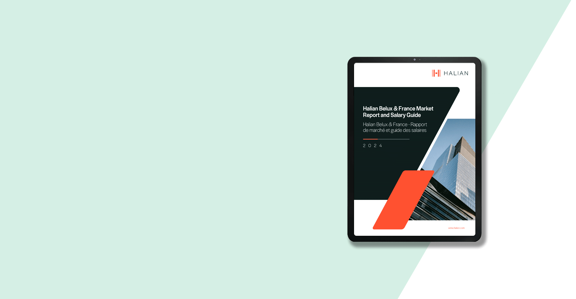 BELUX-MARKET-REPORT-BANNER-TOP-hubspot